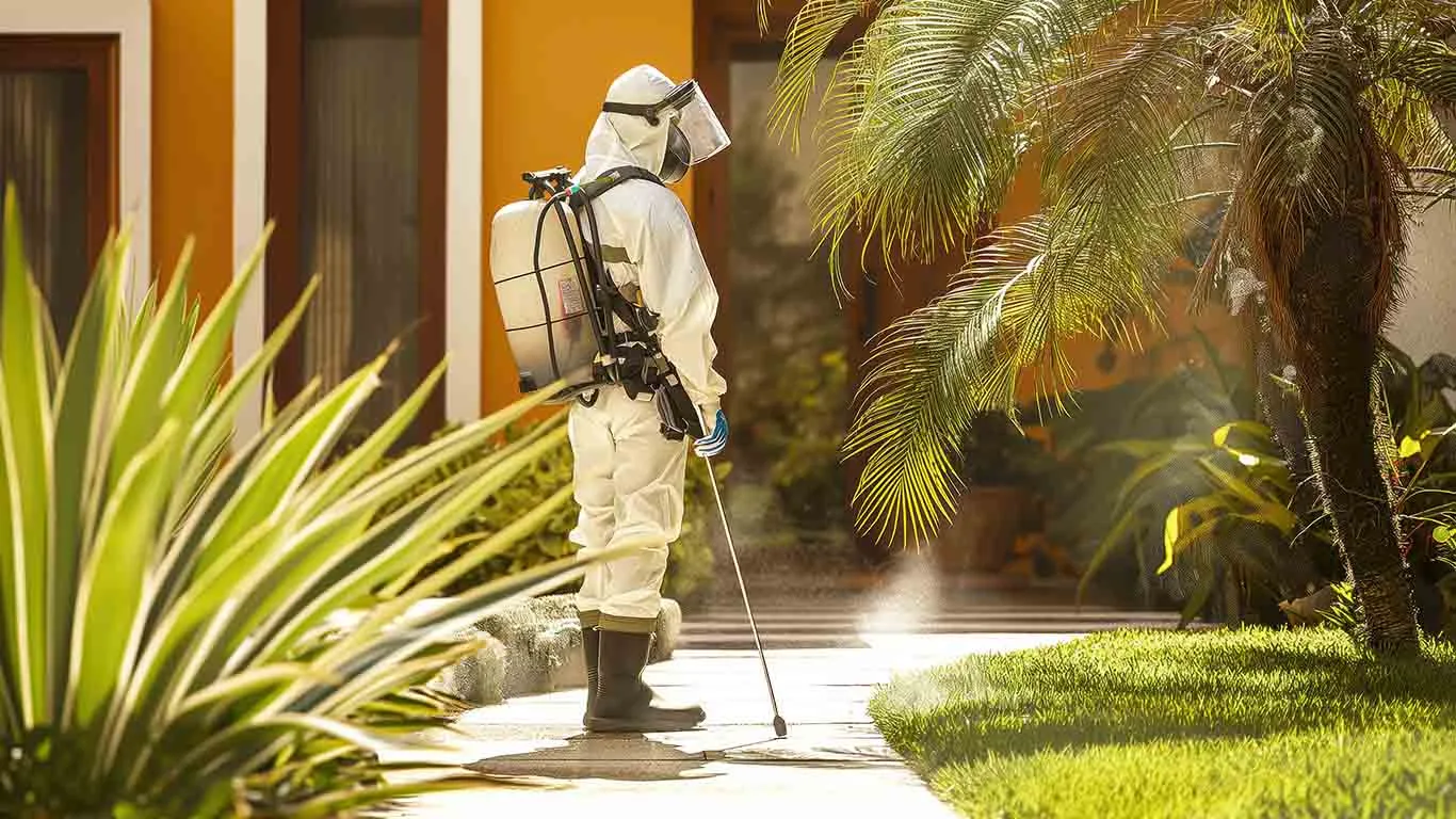 post-1 - Extermi Pro Exterminateur Montreal – Extermination nuisibles certifie