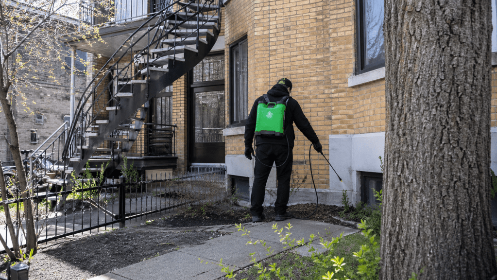 hero pulverization Villeray - Extermi Pro