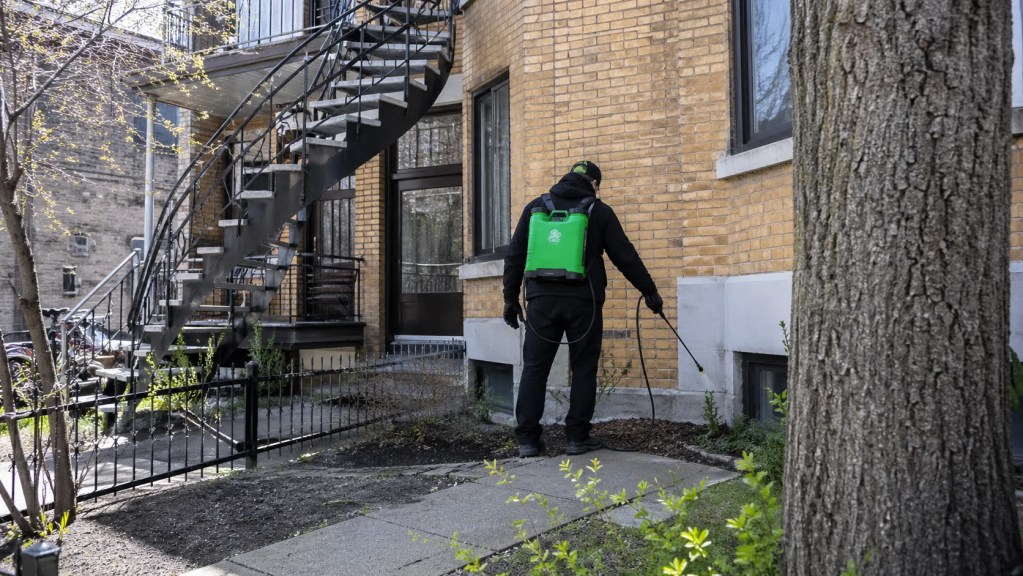 hero pulverization Villeray - Extermi Pro